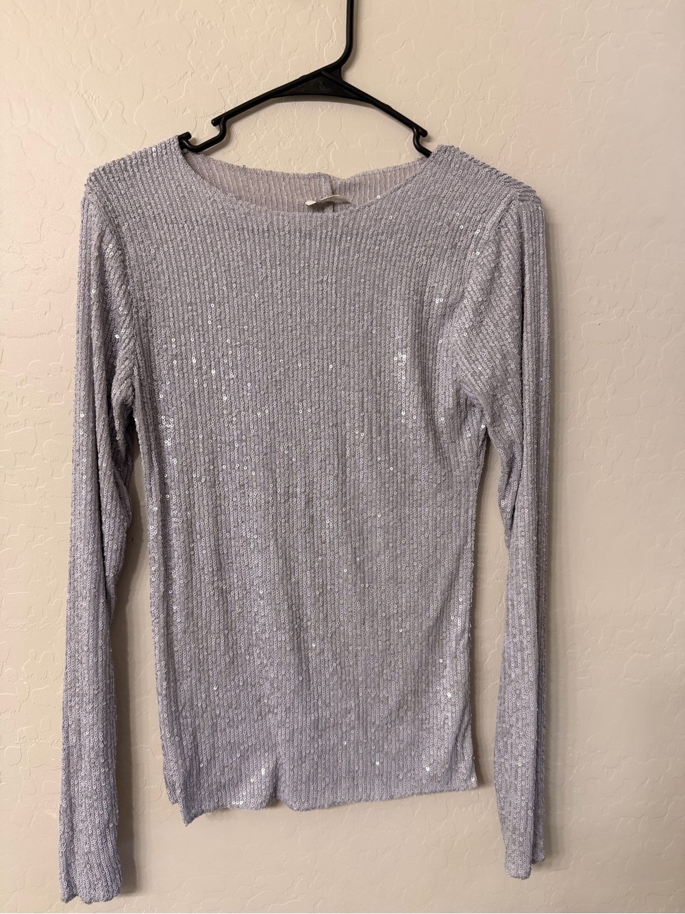 Free People Silver Sequin Ribbed Long Sleeve Top